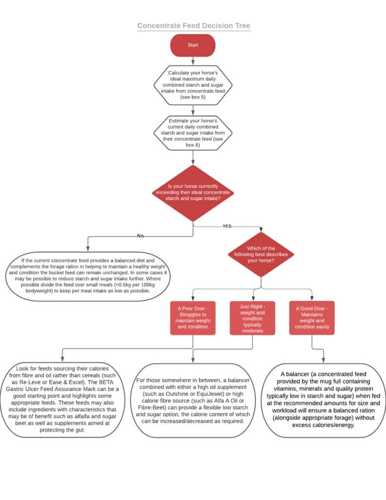 horse concentrate feed decision tree
